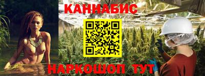 трава Кудрово
