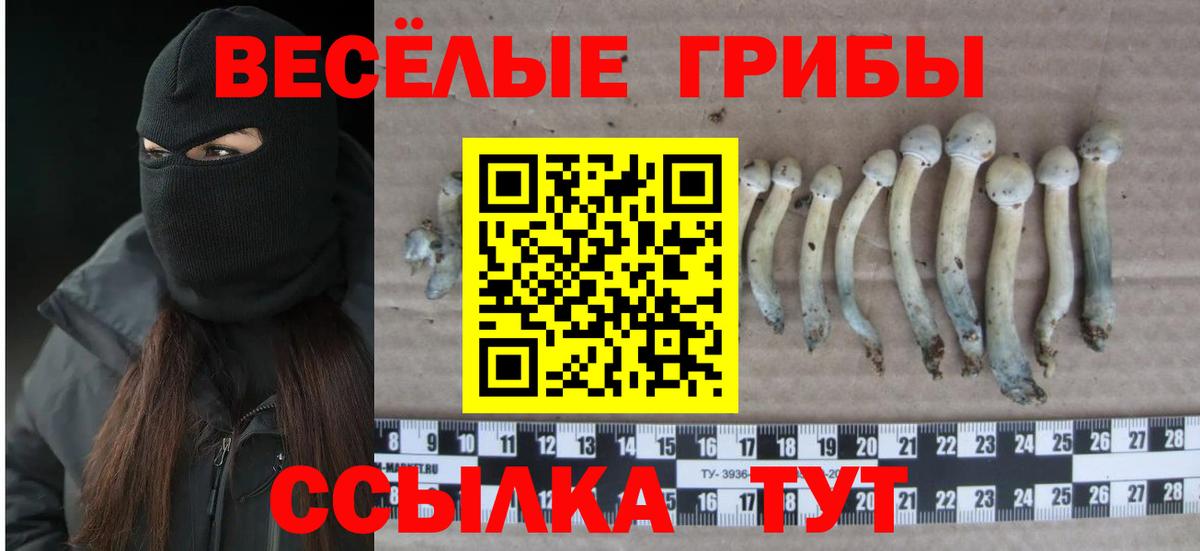 Ступино  Галлюциногенные грибы Magic Shrooms  Вход с VPN 